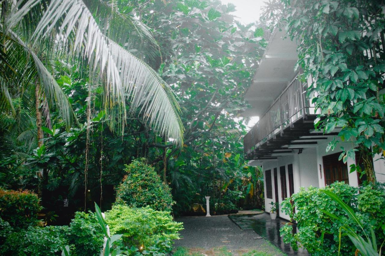 Bananas Mirissa Hotell Eksteriør bilde